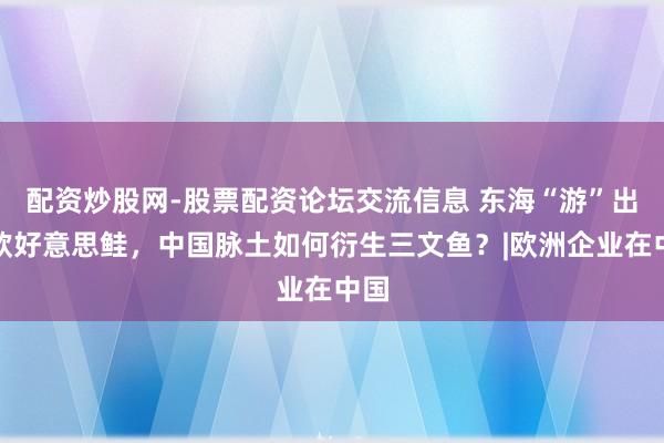 配资炒股网-股票配资论坛交流信息 东海“游”出大欧好意思鲑，中国脉土如何衍生三文鱼？|欧洲企业在中国
